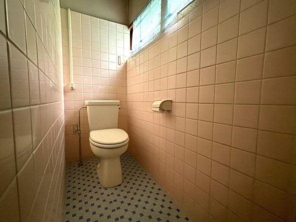 imgi_12_78491461_0013