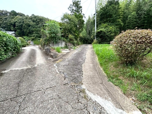 imgi_13_78491461_0003