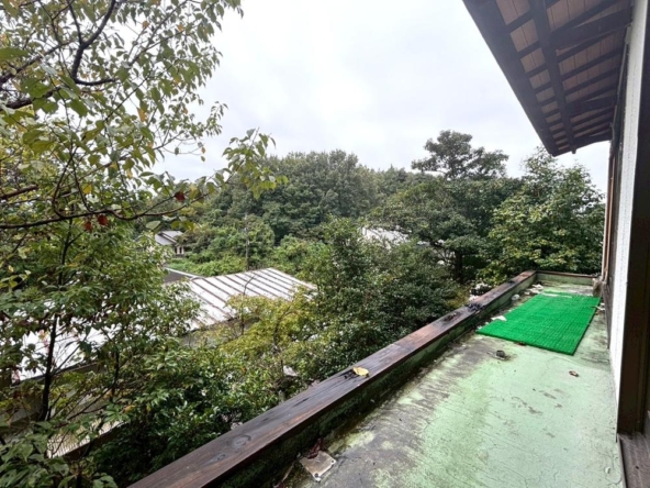 imgi_15_78491461_0024