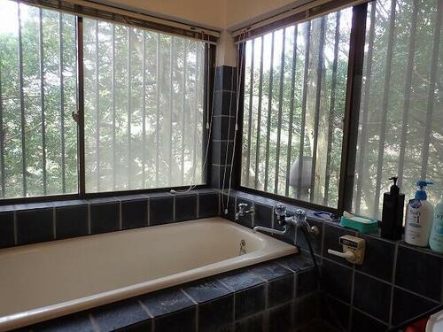 imgi_18_1969440320_500x375