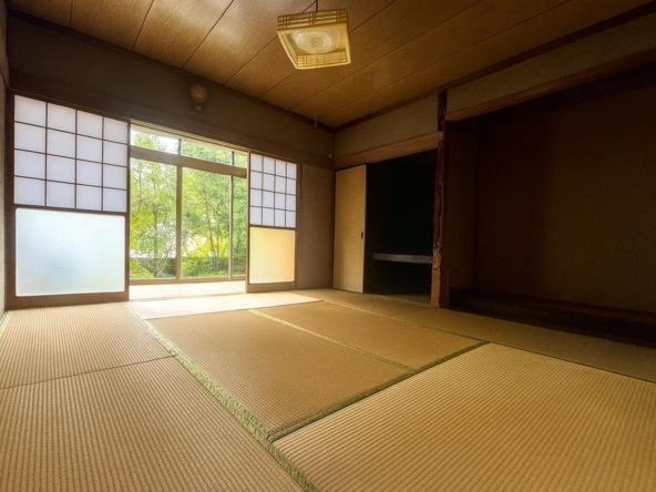 imgi_19_78491461_0018