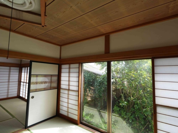 imgi_22_78655074_0221