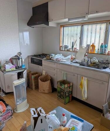 imgi_4_1960612377_375x500