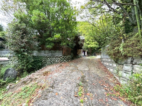 imgi_5_78491461_0002