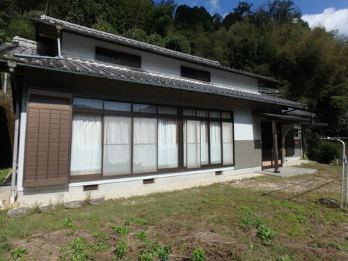 imgi_7_1917704555_500x375