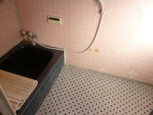 imgi_10_1955928483_500x375