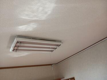 imgi_110_1932995750_373x280