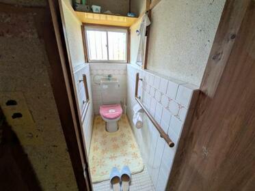 imgi_114_1906487554_373x280