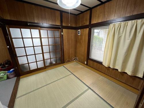 imgi_11_1924289806_500x375