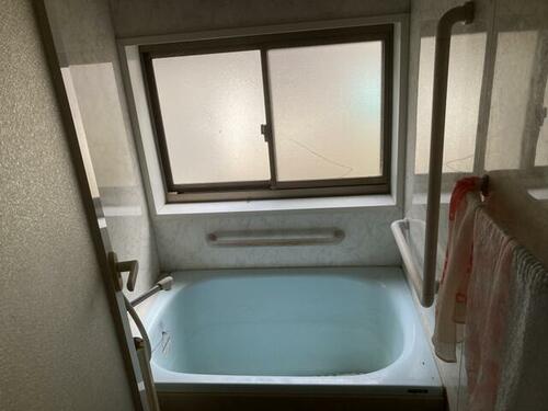 imgi_11_1967003894_500x375