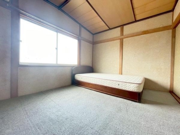 imgi_11_77778797_0009