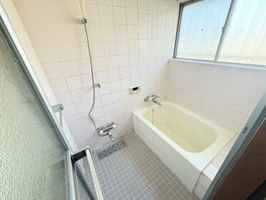 imgi_122_1968398234_373x280