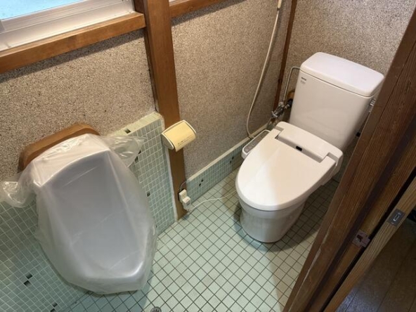 imgi_123_1934095599_640x480