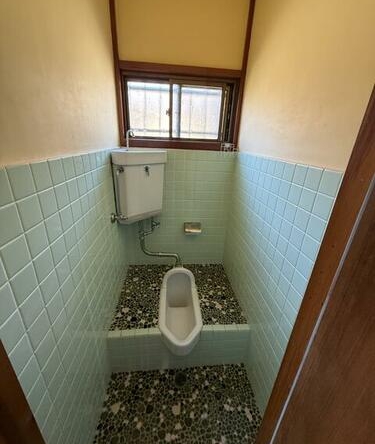 imgi_13_1975266641_375x500