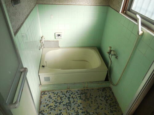 imgi_14_1594163738_500x375