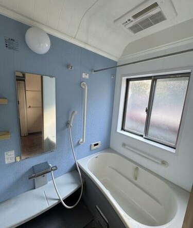 imgi_15_1898155331_375x500