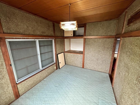 imgi_16_78858219_0012