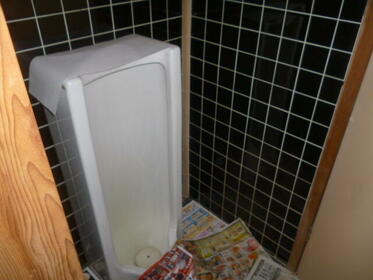 imgi_53_1955928626_373x280