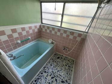 imgi_55_1924289820_373x280