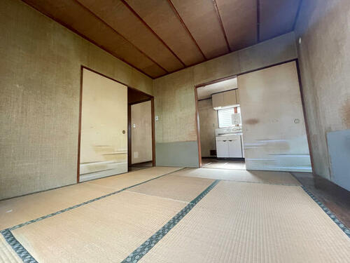 imgi_6_1735027170_500x375