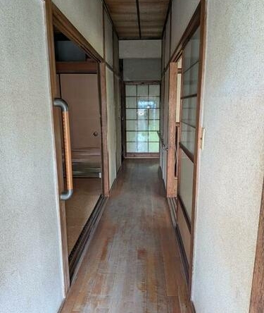 imgi_6_1975922896_375x500