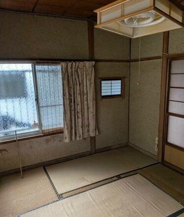 imgi_7_1975922932_375x500