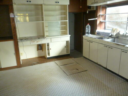 imgi_9_1955928450_500x375