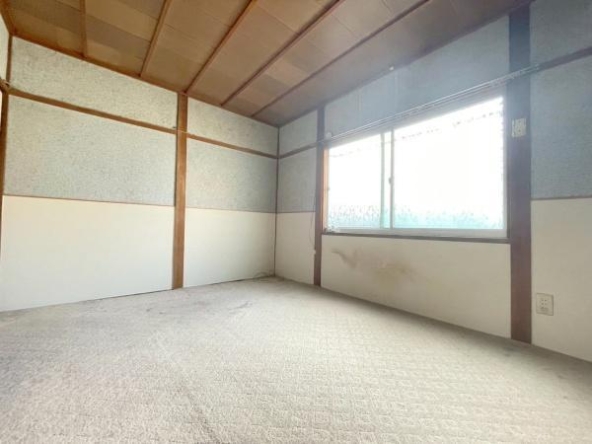 imgi_9_77778797_0007