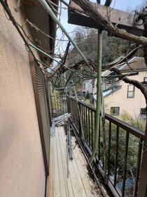 imgi_18_1958208333_210x280