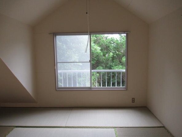 imgi_49_1771457611_640x480