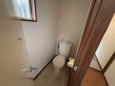 imgi_58_1995649838_373x280