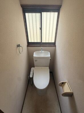imgi_9_1996380381_295x394