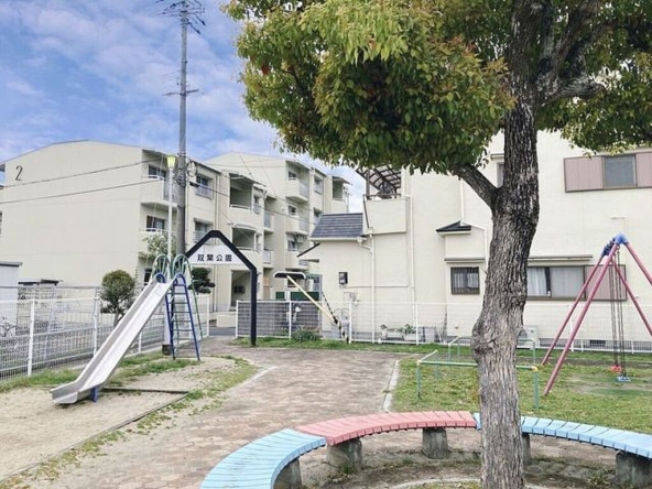 imgi_13_image