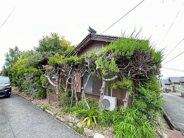 imgi_20_image