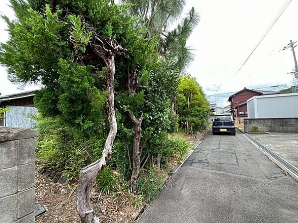 imgi_22_image