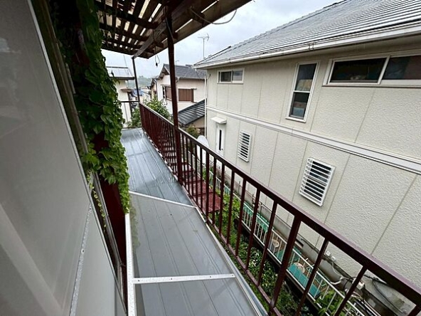 imgi_33_image