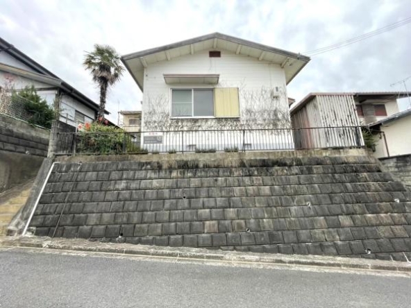 imgi_51_1963915325_600x449