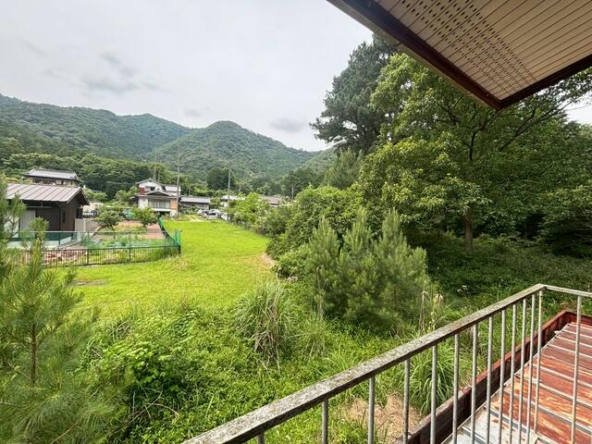 imgi_58_1999707344_640x480