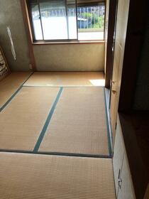 imgi_6_1953562166_210x280