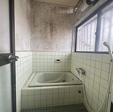 imgi_27_image