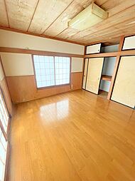 imgi_72_image (1)