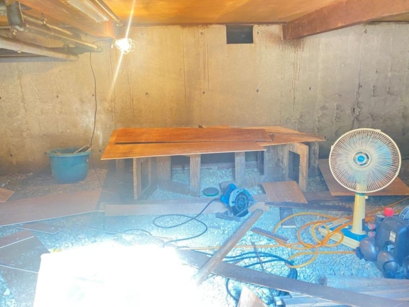 imgi_11_78359856_0017